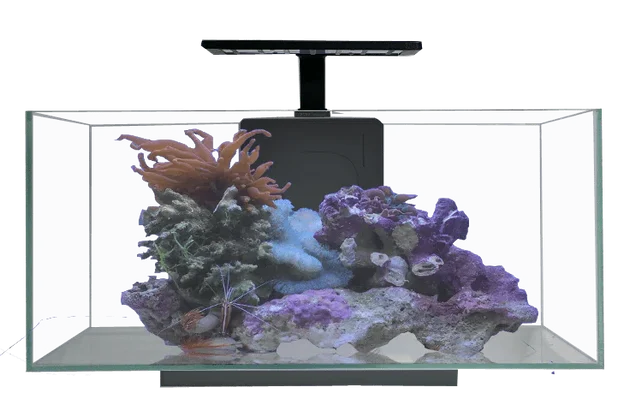 JBJ 10 Gallon Desktop Flat Panel - Freshwater Glass Aquarium w/ Filter and LEDs (RL-10-FP)