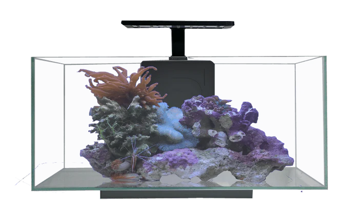 JBJ 10 Gallon Desktop Flat Panel - Freshwater Glass Aquarium w/ Filter and LEDs (RL-10-FP)