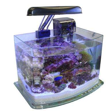 JBJ 3 Gallon PicoTope - Fresh or Saltwater Curved Glass Aquarium