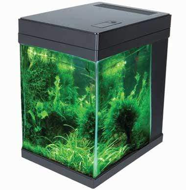 JBJ 3 Gallon Cubey - All-In-One Fresh or Saltwater Glass Aquarium