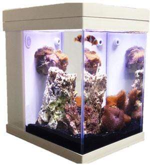 JBJ 3 Gallon Cubey - Fresh or Saltwater Glass Aquarium