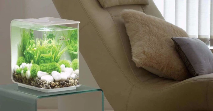 biOrb Flow 15L / 4 Gallon All-in-One Acrylic Aquarium Kit with Multicolor Ligh