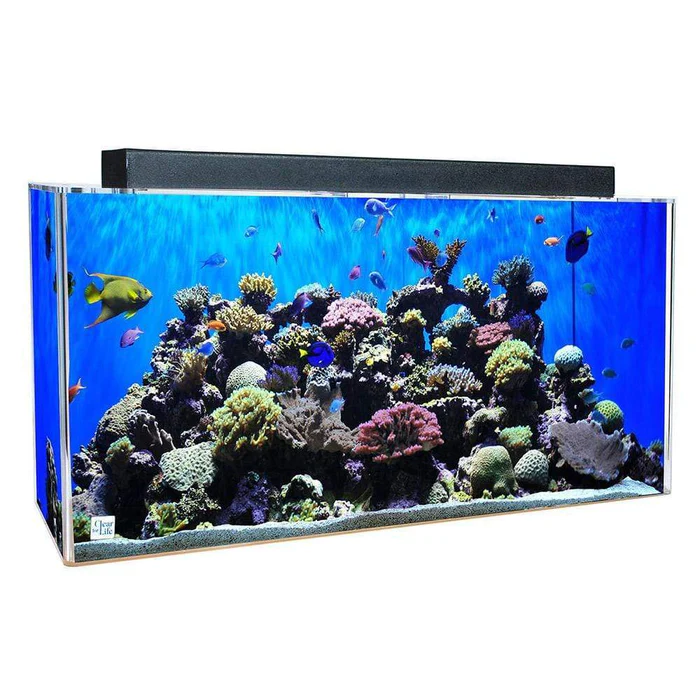 Clear for Life Rectangle 40 Gallon Acrylic Aquarium - Fresh or Saltwater