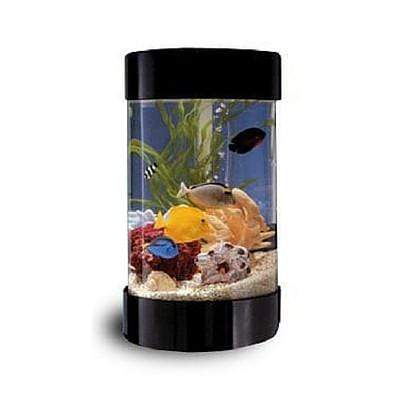 Midwest Tropical AquaRound - 8 Gallon Freshwater Round Acrylic Aquarium