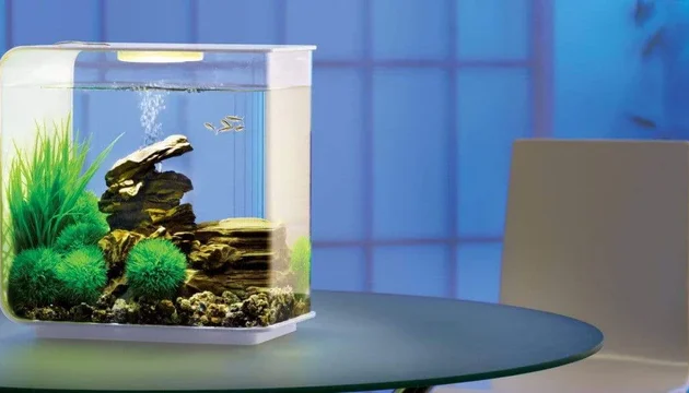 biOrb Flow 15L / 4 Gallon All-in-One Acrylic Aquarium Kit with LED Light