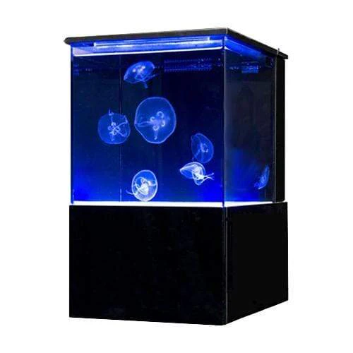 Sunset Marine Labs EON - 10 Gallon Real Jellyfish Aquarium