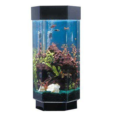 Midwest Tropical Hexagon AquaScape - 15 Gallon Freshwater Acrylic Aquarium