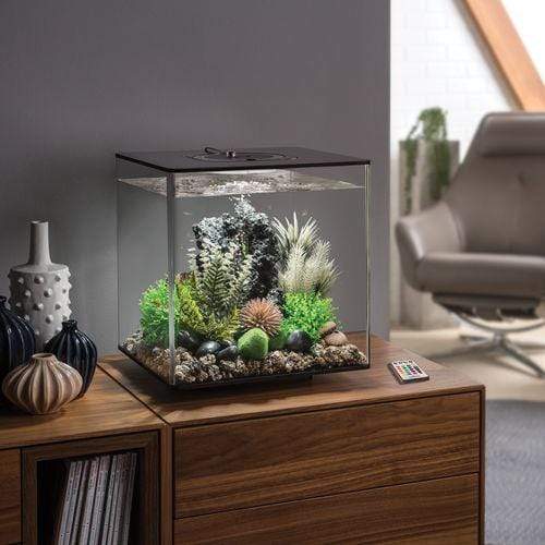 biOrb Cube 30L / 8 Gallon All-in-One Acrylic Aquarium Kit with Multicolor Light