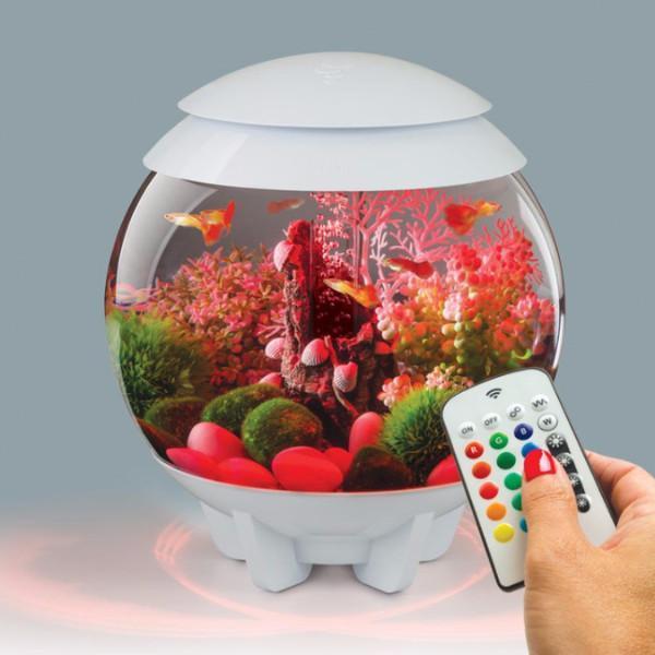 biOrb Halo 15L / 4 Gallon All-in-One Acrylic Aquarium Kit with Multicolor Light